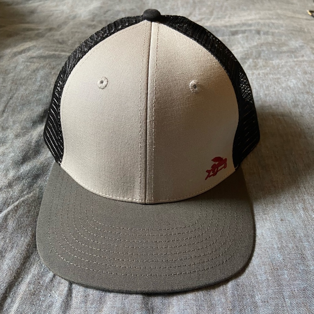 Patagonia small flying fish trucker hat